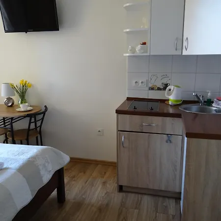 The Lion Rooms Ustroń Zewnętrze zdjęcie